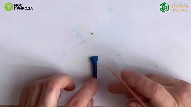 Мастер-класс «Стрекоза» смотреть онлайн