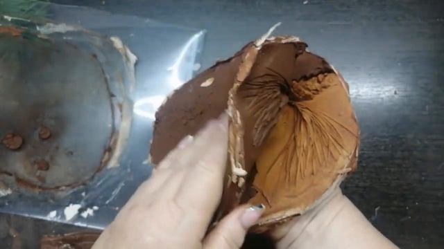 Из шишек и гипса авторские подсвечники. Сувенир на новый год смотреть онлайн