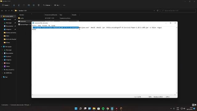 Como crear tu Servidor de minecraft 1.18 - 1.18.1 Facil y Correctamente смотреть онлайн