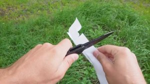 10 ЛУЧШИХ НАЖИВОК для ЛОВЛИ СОМА