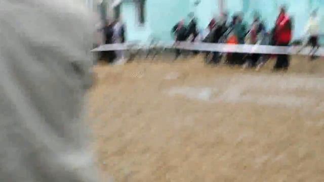 ПИТОМНИКИ _ RussianSiegerZuchtSchau 2013