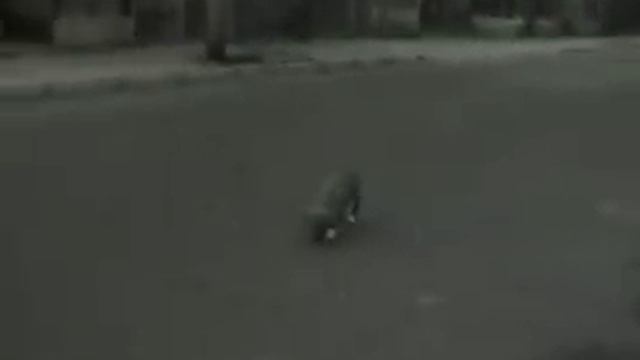 Callejero - Alberto Cortez смотреть онлайн