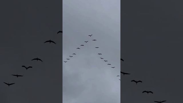 Беларусь - Родина души... смотреть онлайн