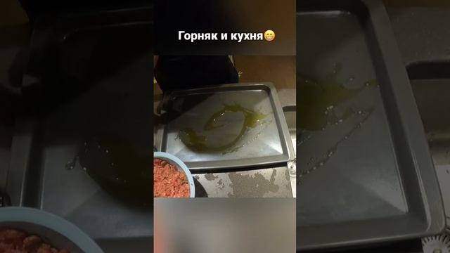 #горняк и #кухня ? #ужин #готовимдома #суббота #семья #еда #фарш #готовим #готовимвкусно #семья #зо смотреть онлайн