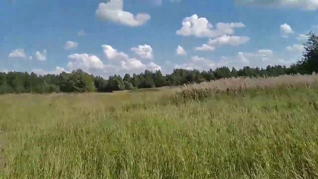 Поездка в город/ заказали межевание смотреть онлайн