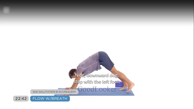 Vytas Yoga - Sweat Detox