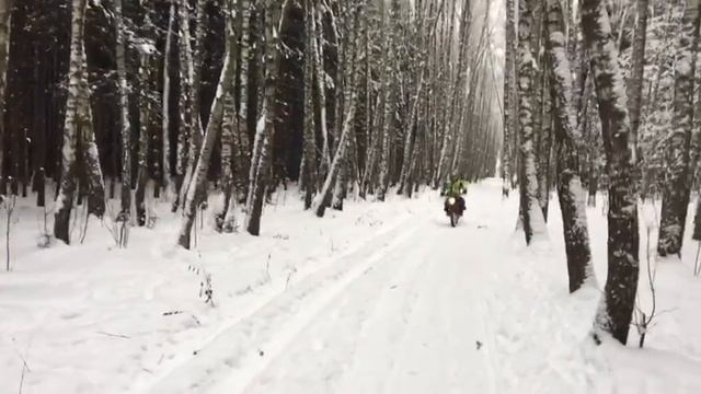 Мотопрогулка по лесу на ирбис ттр125 смотреть онлайн