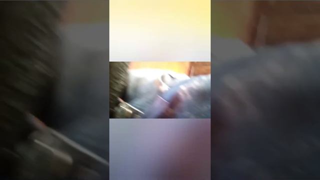Рецепт Торта І Пирога. Які робиться за 5 хв смотреть онлайн