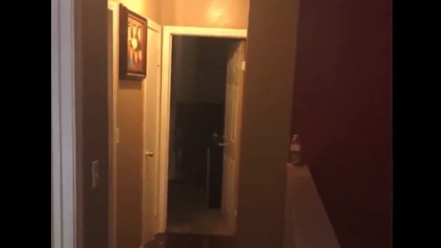 Жуткое Существо Выползло Из Леса | Мистические Новости #26 смотреть онлайн