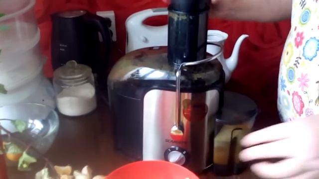 Соковыжималка Scarlett SC-015 смотреть онлайн