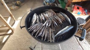 Копчении мойвы и скумбрии лабиринтовым дымогенератором