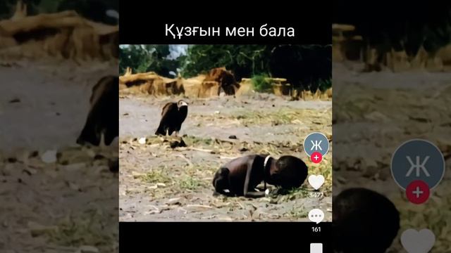 , КОНЬ ОКАЗЫВАЕТСЯ УМНЕЕ, ЧЕМ НАШИ МАНКУТЫ, ХРЮКАЮШИЕ... смотреть онлайн