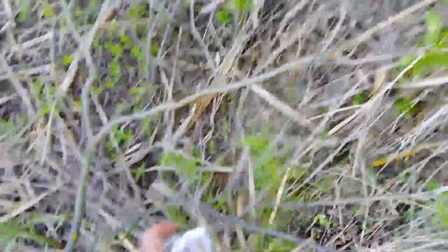 Рыбалка на гребном канале и мини субботник смотреть онлайн