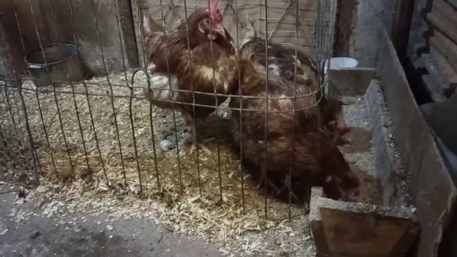 Выпечка в русской печи смотреть онлайн