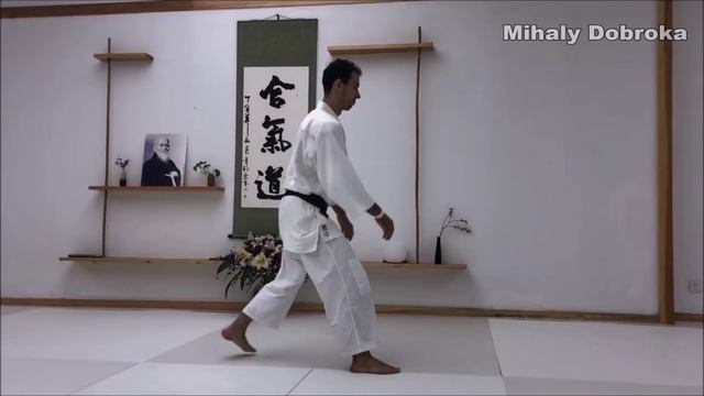Basic Aikido Ukemi: Ushiro Ukemi Tutorial смотреть онлайн