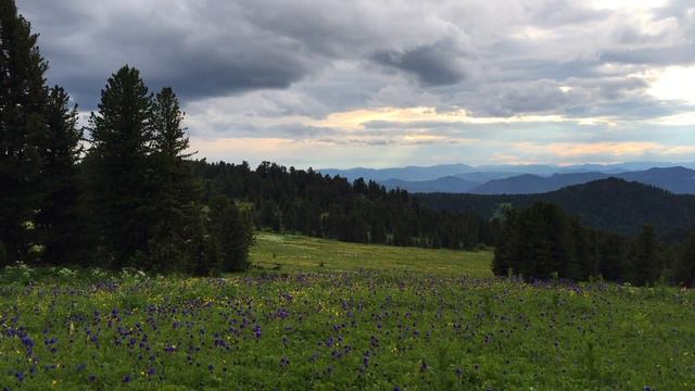 Алтай июль 2016 Турприют "Беркут" смотреть онлайн