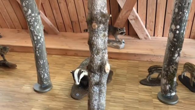 ЛЮКСЕМБУРГ: ПРОГУЛКА ПО МОЗЕЛЕ ЧАСТЬ 1 (ШЕНГЕН, РЕМЕРШЕН, РЕМИШ) смотреть онлайн