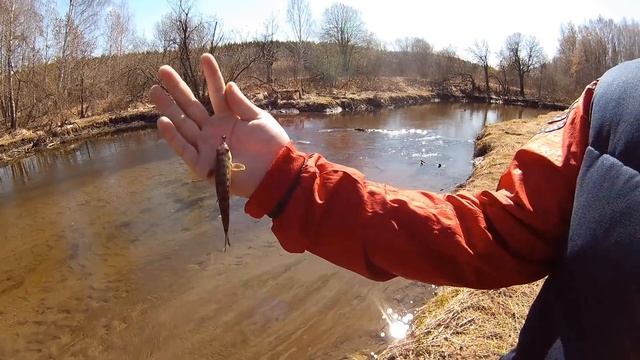 Два дня мормышинга на загадочной микроречке Камышенке на Эльмаше. Ловля пескарей, карасей и карпов смотреть онлайн
