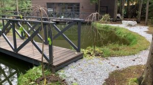 Какую рыбу не надо заводить в своем пруду.Что б деньги не выкидывать на ветер.