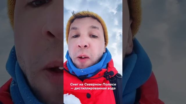 Можно ли Есть Снег на Северном Полюсе смотреть онлайн