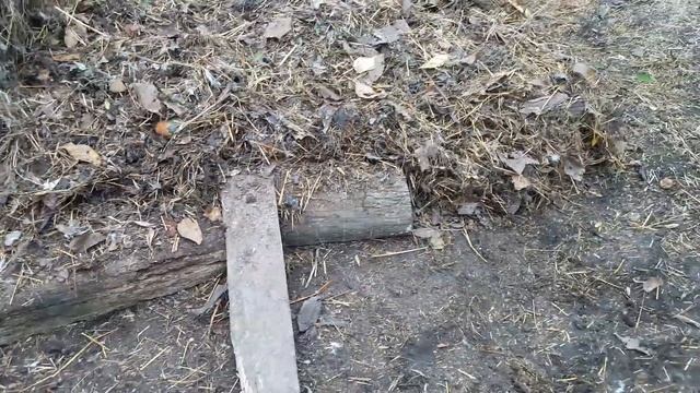 Старый кроль-производитель. Где и как складирую навоз (( перепелов, кроликов и кур. смотреть онлайн