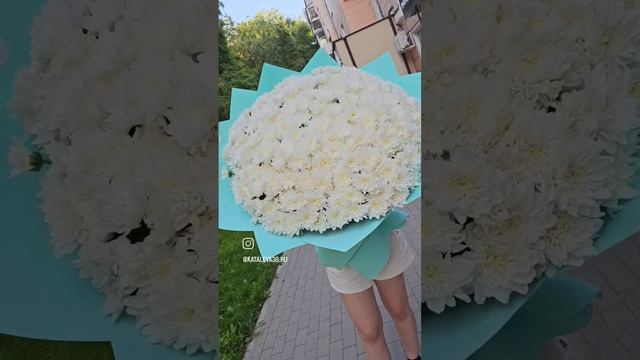 Огромные букеты из кустовых хризантем г.Воронеж ул.Плехановская -1 «Цветы Каталея» 89192810505 смотреть онлайн