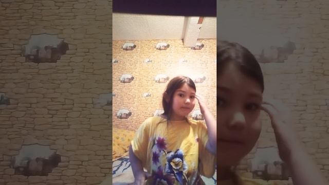 Как отличить мальчика и девочку и как их приучить к лотку собака и кошка смотреть онлайн