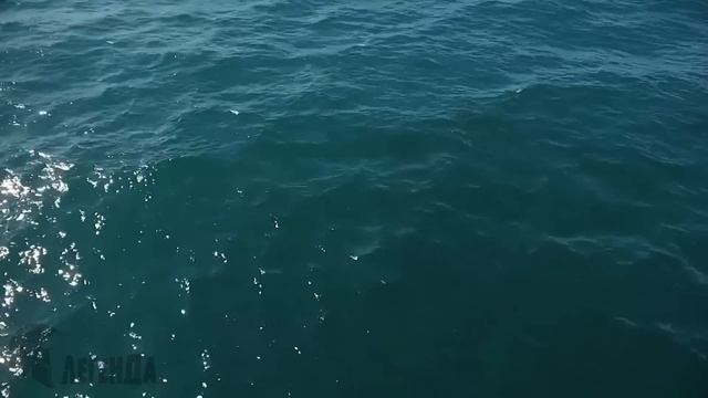 Россия снова перекроет Море. Дамба в Охотском море за 4 трлн. смотреть онлайн