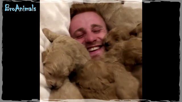 САМЫЕ МИЛЫЕ ЩЕНКИ, приколы с животными, подборка | Funny Puppies #629 смотреть онлайн