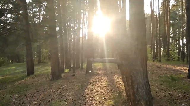 ОБЗОР НА СВЕРХ КАРЛИКОВЫХ БЕГЕМОТОВ +ФЛЕКС В КОНЦЕ смотреть онлайн