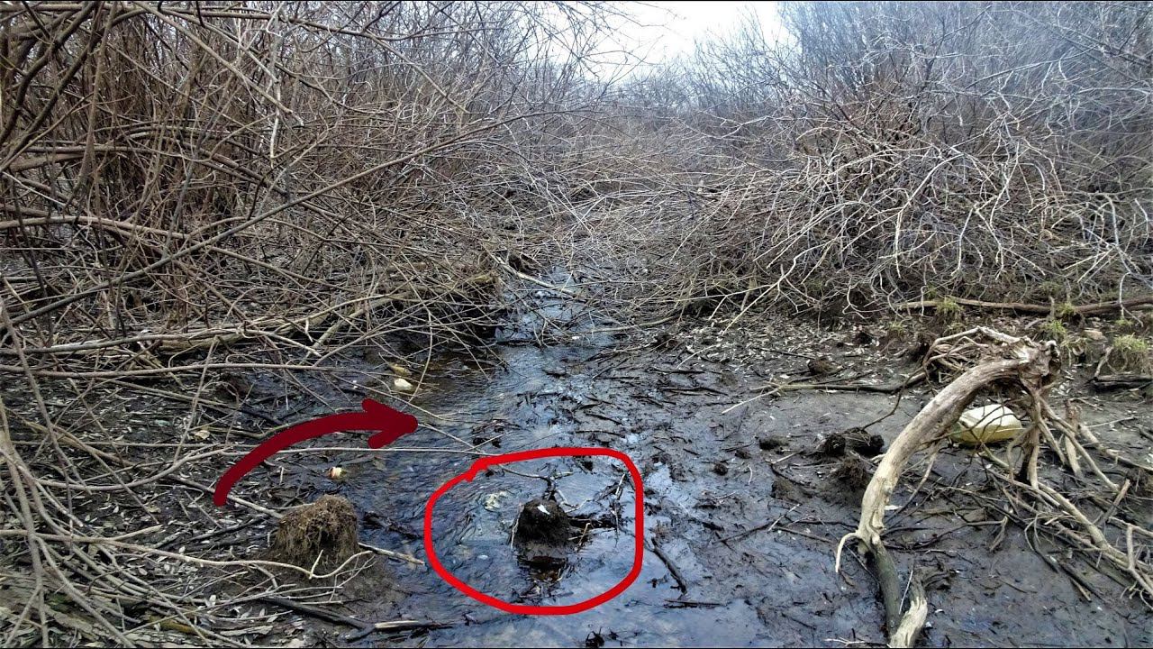 Нашёл РУЧЕЙ ИЗ РЫБЫ. Рыбалка в апреле 2022 смотреть онлайн