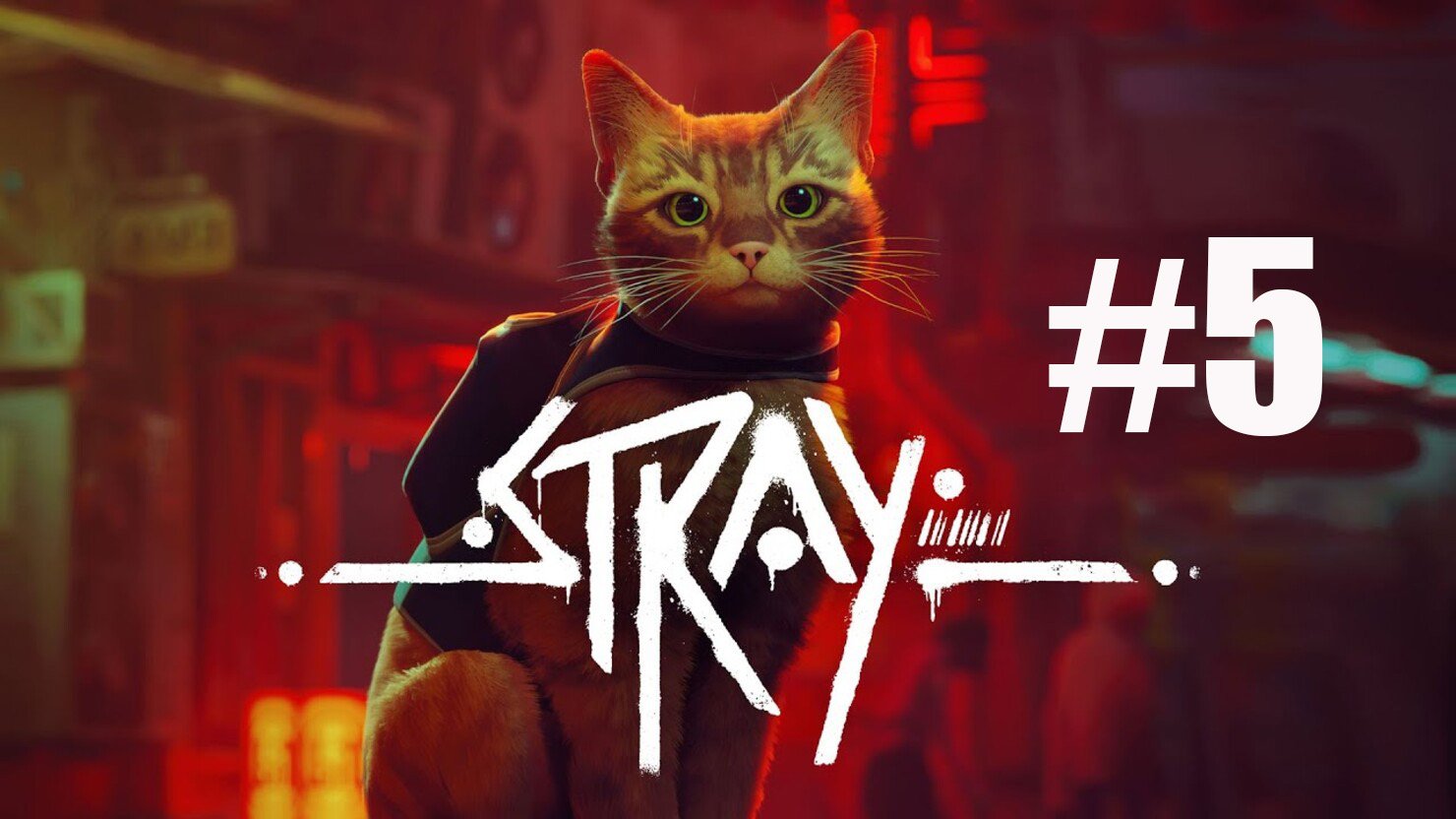 Stray #5 смотреть онлайн