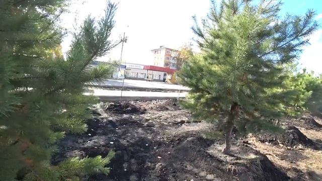 Город, меняющий свой облик. смотреть онлайн