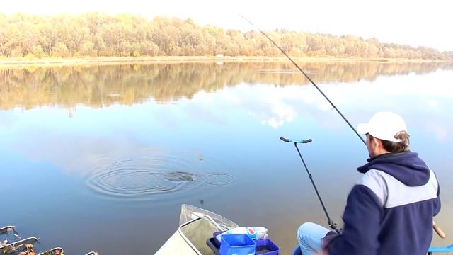 Осенний фидер. Ловля плотвы на реке Десна. смотреть онлайн