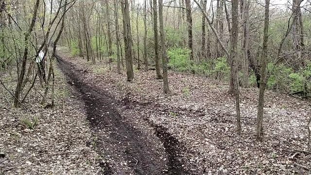 Yamaha yz 250 vs Honda crf 230f смотреть онлайн