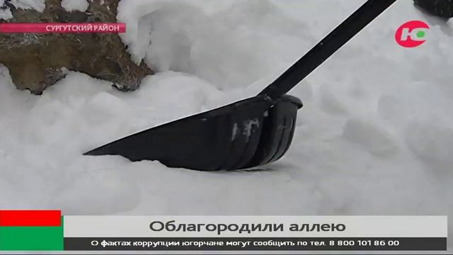 В Сургутском районе общественники расчистили от снега аллею Победы смотреть онлайн