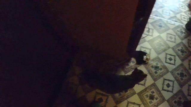 ВЛОГ. Кто бы мог ПОДУМАТЬ что Лена ТАКАЯ , что думаете? смотреть онлайн