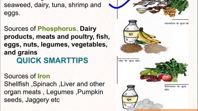 Ctet Science Paper-2 topic series||topic-1 ||food,sources and components of food||Ctet 2021 смотреть онлайн
