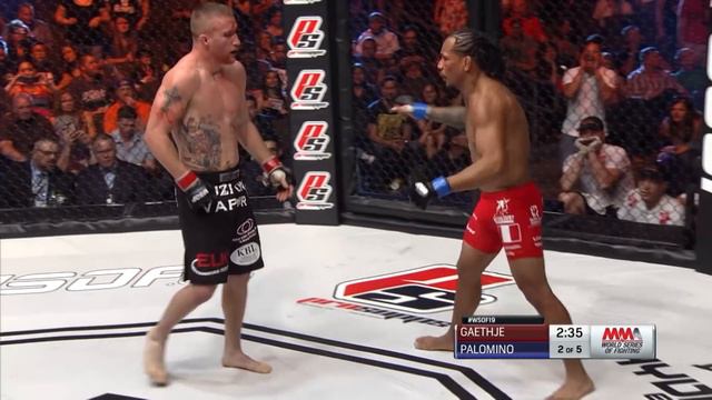 [HD] Full Fight | Justin Gaethje vs Luis Palomino 1 (Lightweight Title Bout) | WSOF 19, 2015 смотреть онлайн
