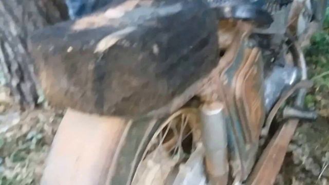 ІЖ-56 із курника до нагород!!! смотреть онлайн