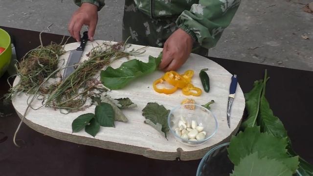 Интересные Факты и Загадки