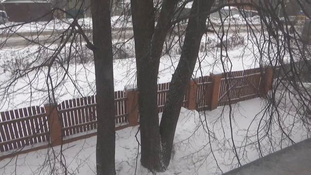 Спасение кошки. С празником 23 февраля с Днем Защитника Родины смотреть онлайн