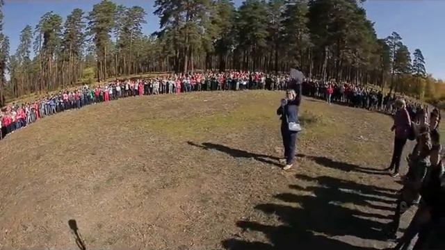 Школа сегодня смотреть онлайн