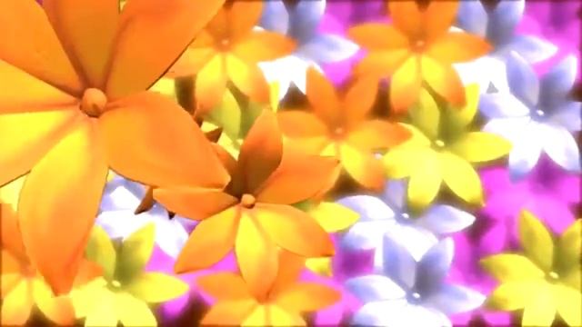 Видеофон Оранжевые цветы