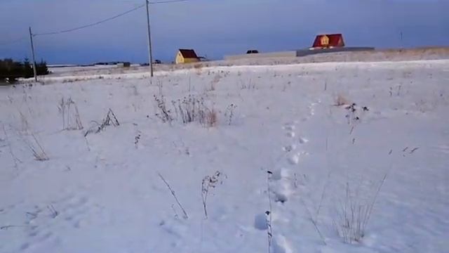 Участок 1052 Окунево смотреть онлайн