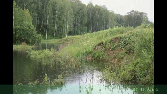 ЩУЧКА.рф РЫБАЛКА смотреть онлайн
