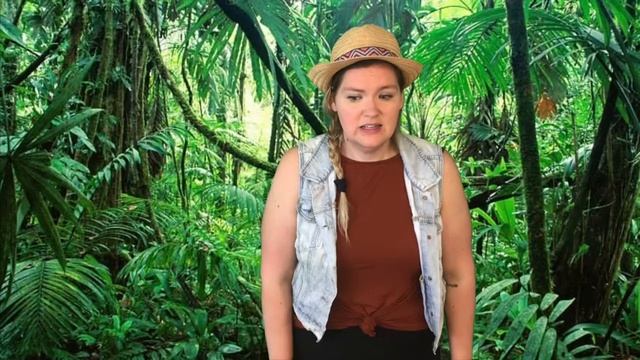 Episode 21: We’re Going on a Tiger Hunt! смотреть онлайн
