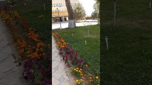 Чирчик, город моего детства. смотреть онлайн