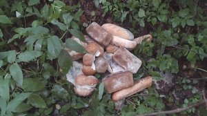 Хлеб как приманка для кабана