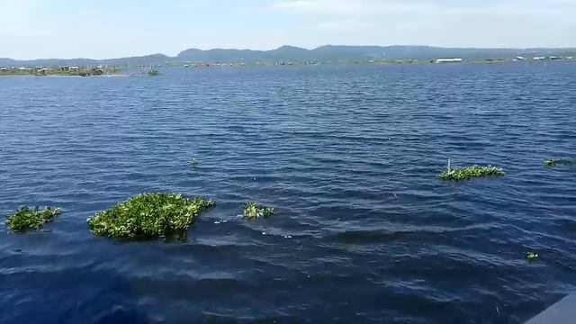 BUKIT CINTA RAWA PENING # ost film Oshin смотреть онлайн